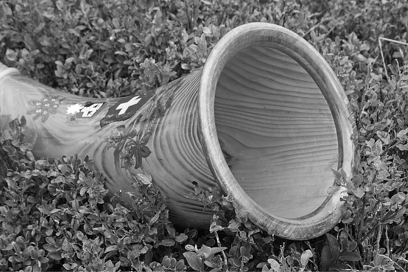 Alphorn
